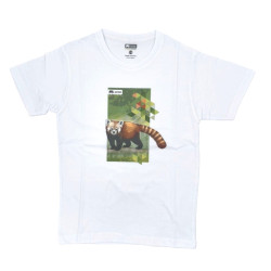 KOSZULKA PANDA CZERWONA...