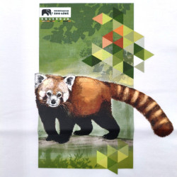 KOSZULKA PANDA CZERWONA DZIECIĘCA